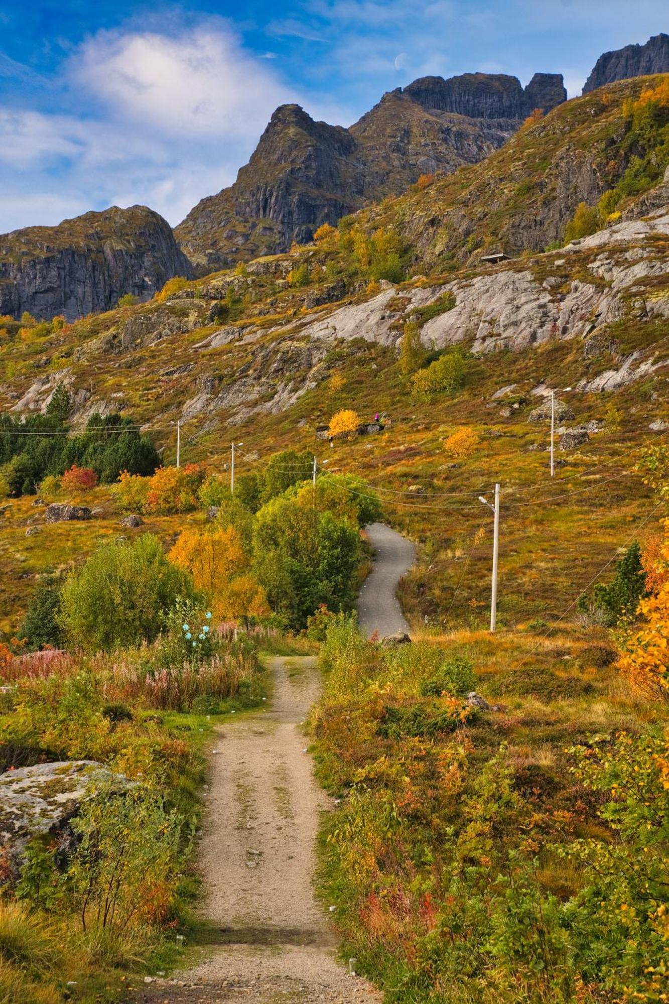 Lofoten Planet Studio Sørvågen Kültér fotó